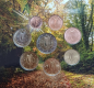 Preview: KMS Irland 2026 1Cent-2Euro im Blister
