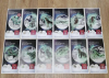 12 Flyer für 3Euro Serie Tier Taler