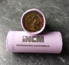 2 Euro Rolle PORTUGAL - 2025 Weltpfadfinder
